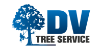 DV-tree-service-logo-transp2
